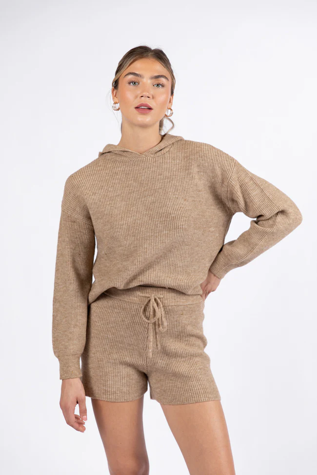 Cloud Chaser Mocha Sweater Knit Hoodie FINAL SALE - Terpint