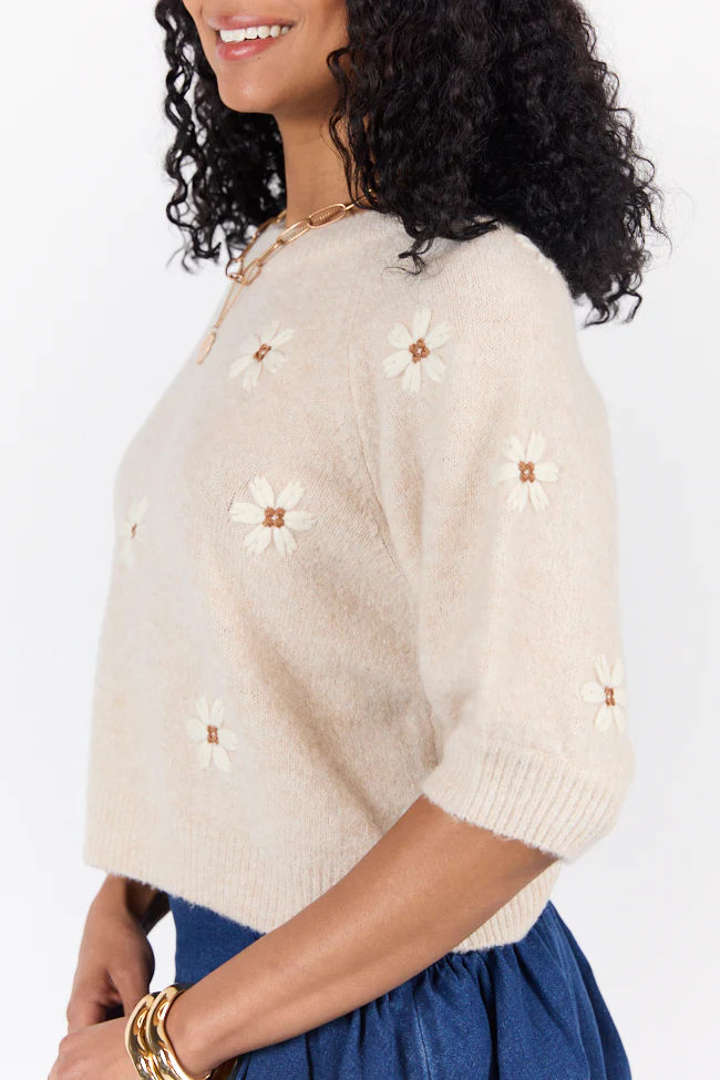 So Into You Oatmeal Short Sleeve Floral Embroidered Sweater - Terpint