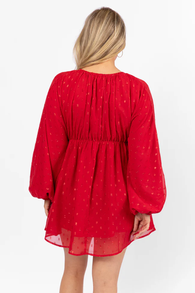 Warmest Wishes Shimmer Detail Babydoll Dress FINAL SALE - Terpint