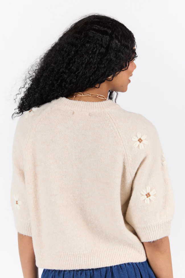 So Into You Oatmeal Short Sleeve Floral Embroidered Sweater - Terpint